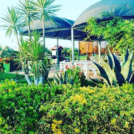 La Tenuta Del Passero Le Ferriere Bagian luar foto
